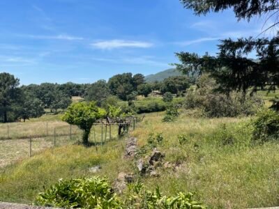 Espectacular finca de 4 hectáreas con dos viviendas en La Herrezuela (Guisando – Sierra de Gredos)