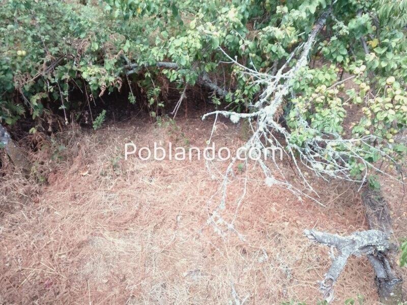 SE VENDE CASA EN O CARBALLIÑO