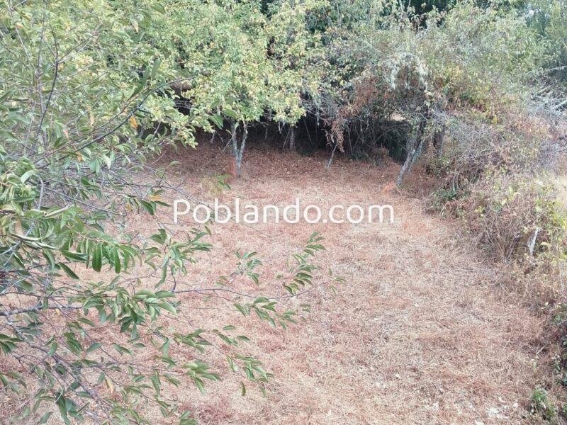 SE VENDE CASA EN O CARBALLIÑO