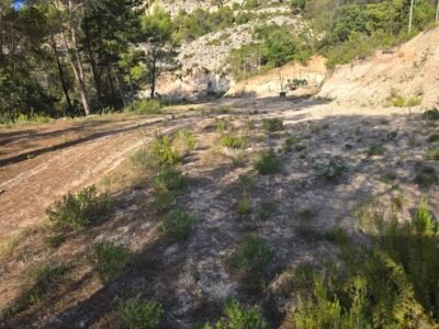 Terreno Urbano en Renera