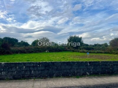 PARCELA RÚSTICA PENDIENTE DEL PRÓXIMO PLAN URBANÍSTICO. CEA, OURENSE (GALICIA)