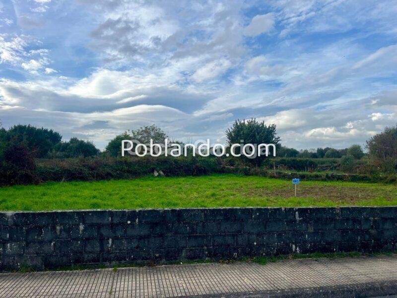 PARCELA RÚSTICA PENDIENTE DEL PRÓXIMO PLAN URBANÍSTICO. CEA, OURENSE (GALICIA)