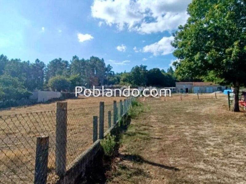 VIVIENDA INDEPENDIENTE TOTALMENTE AMUEBLADA DE 252 m2, CON FINCA DE 1350 m2 Y DOS DEPENDENCIAS AGRÍCOLAS DE 122m2 y 20 m2 RESPECTIVAMENTE. O BOLO, MASIDE, OURENSE, GALICIA (SPAIN)).