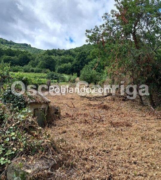 PRECIOSA CASA DE PUEBLO DE 190 m2, PIEDRA DEL PAIS, TEJADO PERFECTO, BALCÓN CON VISTAS, GARAJE Y FINCA DE 780 m2. EN OUTEIRO DE LAXE, ALLARIZ, OURENSE.-