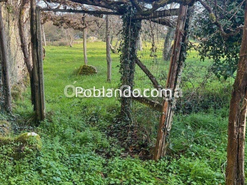 FANTÁSTICA CASA SEÑORIAL DE 664 m2, CON FINCA URBANIZABLE DE 3455 m2. CASTRO DE CARBALLEDO, LUGO, GALICIA (SPAIN)