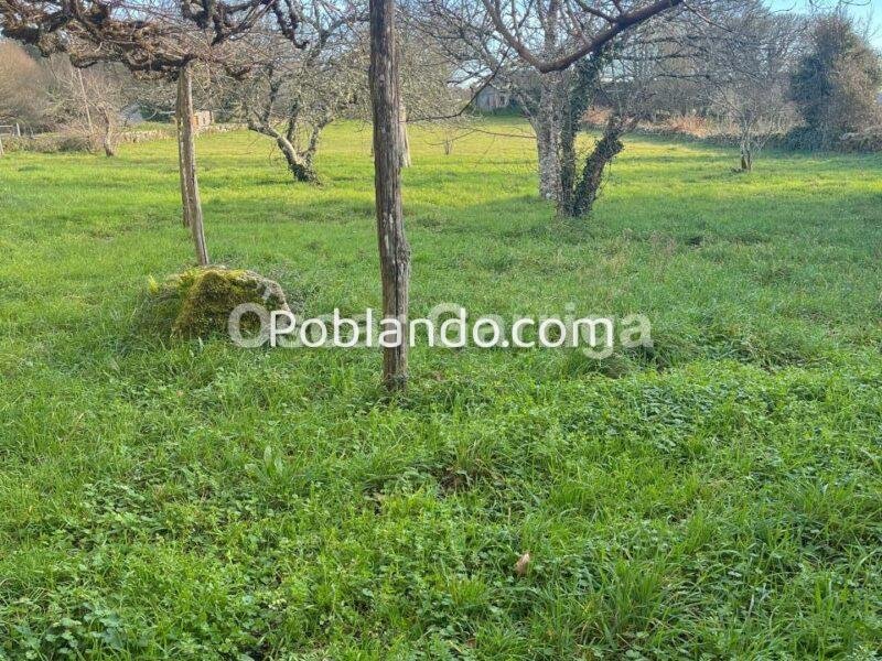 FANTÁSTICA CASA SEÑORIAL DE 664 m2, CON FINCA URBANIZABLE DE 3455 m2. CASTRO DE CARBALLEDO, LUGO, GALICIA (SPAIN)