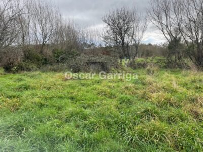 TRES CASITAS ANTIGUAS PARA RESTAURAR MÄS FINCA DE 1100 m2, CON LAVADERO, POZO Y HÓRREO. LAMAS, AGUADA, CARBALLEDO, LUGO (SPAIN).