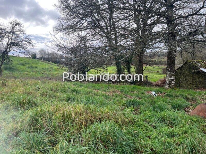 TRES CASITAS ANTIGUAS PARA RESTAURAR MÄS FINCA DE 1100 m2, CON LAVADERO, POZO Y HÓRREO. LAMAS, AGUADA, CARBALLEDO, LUGO (SPAIN).