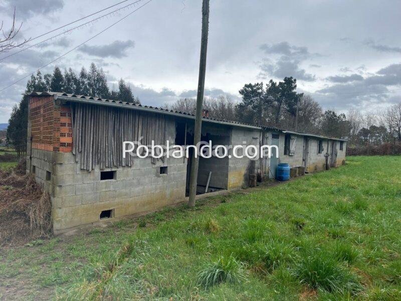 MAJESTUOSO INMUEBLE COMPUESTO DE VIVIENDA (247 m2) y FINCA (8611 m2), DENTRO DE UN CIERRE PERIMETRAL CON BASE DE HORMIGÓN. NEVES DE GRIXOA, SAN AMARO, OURENSE (SPAIN).