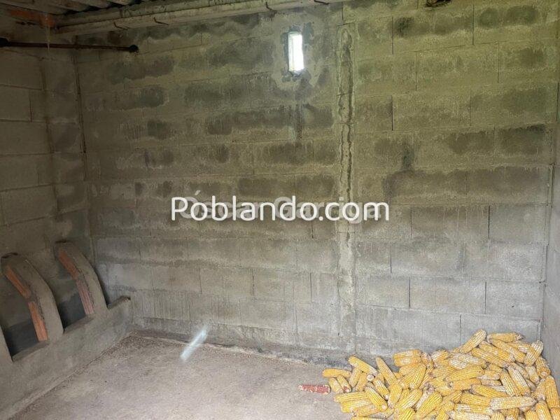 MAJESTUOSO INMUEBLE COMPUESTO DE VIVIENDA (247 m2) y FINCA (8611 m2), DENTRO DE UN CIERRE PERIMETRAL CON BASE DE HORMIGÓN. NEVES DE GRIXOA, SAN AMARO, OURENSE (SPAIN).