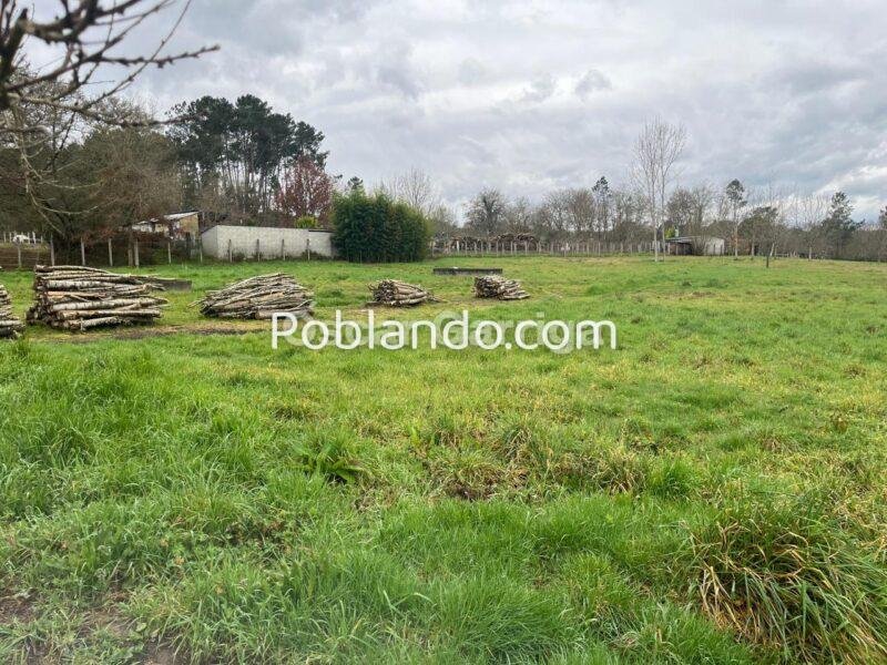 MAJESTUOSO INMUEBLE COMPUESTO DE VIVIENDA (247 m2) y FINCA (8611 m2), DENTRO DE UN CIERRE PERIMETRAL CON BASE DE HORMIGÓN. NEVES DE GRIXOA, SAN AMARO, OURENSE (SPAIN).