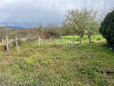 CASA EN LA N-525 (OURENSE/SANTIAGO), A 10 KM DE OURENSE, CON FINCA URBANA DE 3800 m2. CAMBEO, COLES, OURENSE (SPAIN).