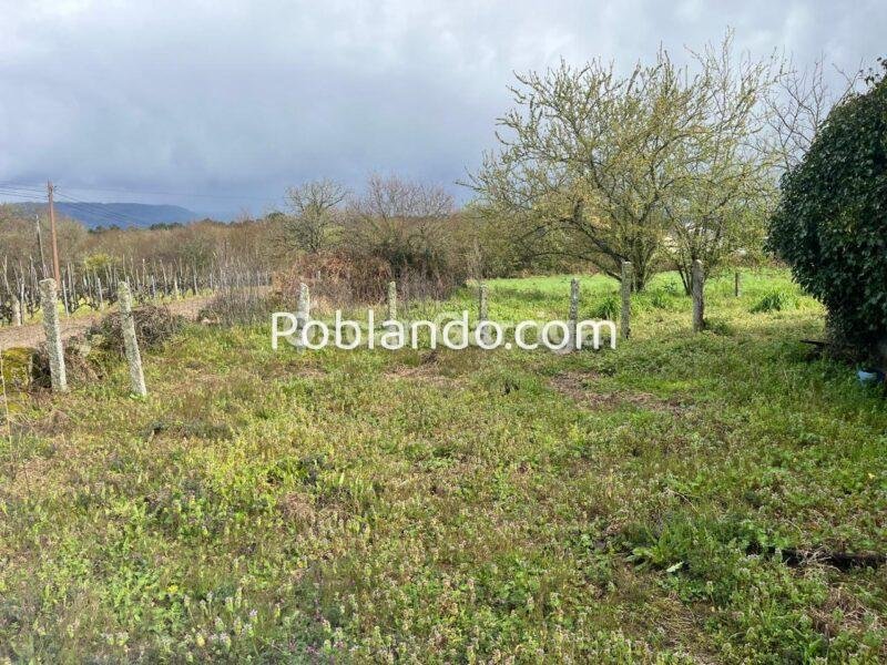 CASA EN LA N-525 (OURENSE/SANTIAGO), A 10 KM DE OURENSE, CON FINCA URBANA DE 3800 m2. CAMBEO, COLES, OURENSE (SPAIN).