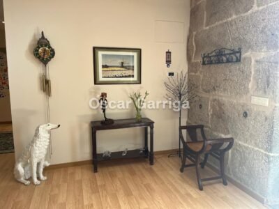 DELICIA DE CASA DE PUEBLO TRAS REFORMA INTEGRAL, 414 m2, CON JARDÍN Y CIERRE TOTAL PERIMETRAL. O BOLO, MASIDE, OURENSE (SPAIN).