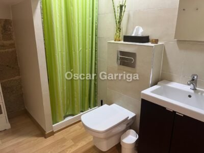 DELICIA DE CASA DE PUEBLO TRAS REFORMA INTEGRAL, 414 m2, CON JARDÍN Y CIERRE TOTAL PERIMETRAL. O BOLO, MASIDE, OURENSE (SPAIN).