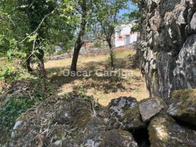 CONJUNTO INMOBILIARIO; VIVIENDA, DEPENDENCIAS AGRÍCOLAS y DOS FINCAS. ANSAMONDE, MASIDE, OURENSE (SPAIN).