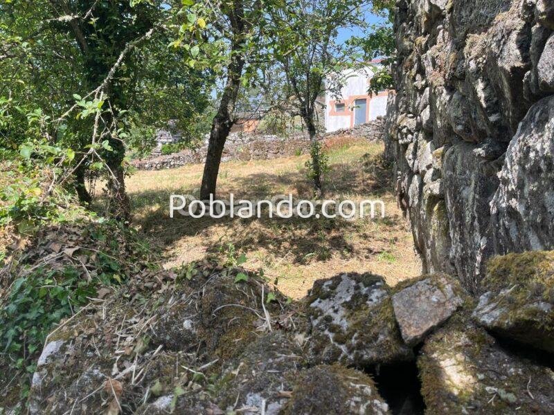 CONJUNTO INMOBILIARIO; VIVIENDA, DEPENDENCIAS AGRÍCOLAS y DOS FINCAS. ANSAMONDE, MASIDE, OURENSE (SPAIN).