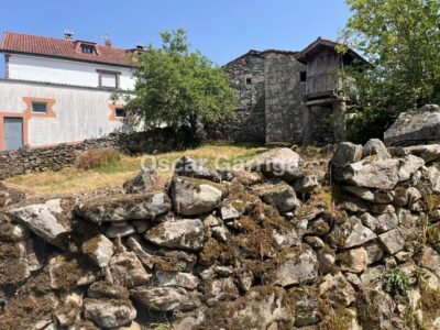 CONJUNTO INMOBILIARIO; VIVIENDA, DEPENDENCIAS AGRÍCOLAS y DOS FINCAS. ANSAMONDE, MASIDE, OURENSE (SPAIN).