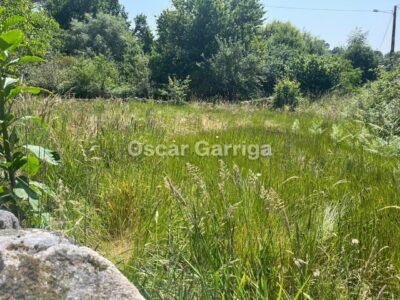 CONJUNTO INMOBILIARIO; VIVIENDA, DEPENDENCIAS AGRÍCOLAS y DOS FINCAS. ANSAMONDE, MASIDE, OURENSE (SPAIN).