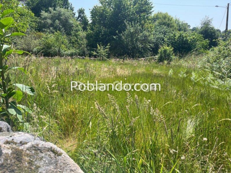 CONJUNTO INMOBILIARIO; VIVIENDA, DEPENDENCIAS AGRÍCOLAS y DOS FINCAS. ANSAMONDE, MASIDE, OURENSE (SPAIN).