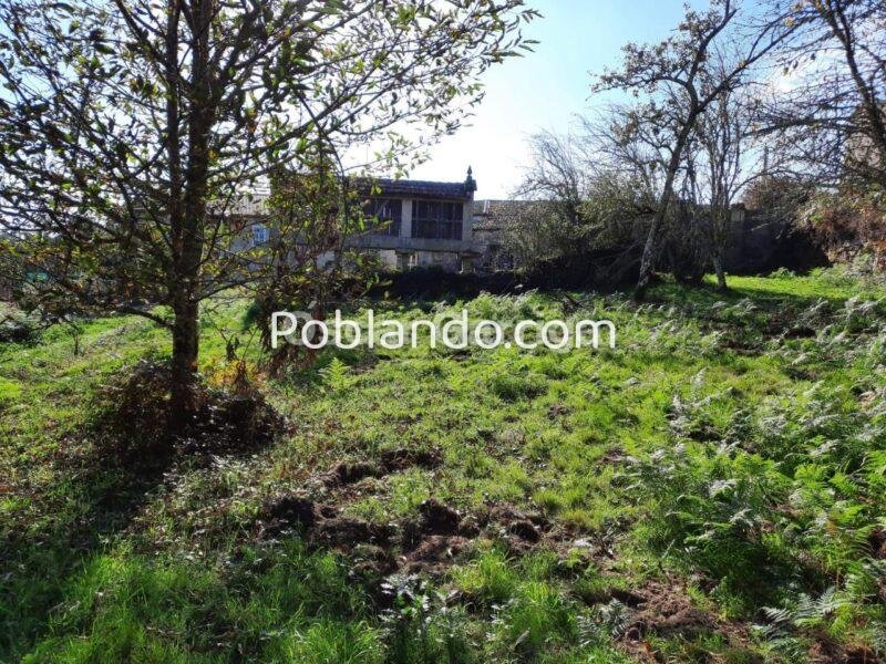 FANTÁSTICO CONJUNTO INMOBILIARIO; VIVIENDA, OTRAS DOS DEPENDENCIAS Y FINCA CON HÓRREO.