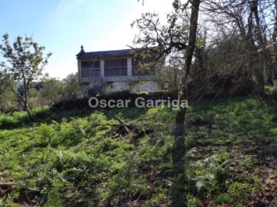 FANTÁSTICO CONJUNTO INMOBILIARIO; VIVIENDA, OTRAS DOS DEPENDENCIAS Y FINCA CON HÓRREO.