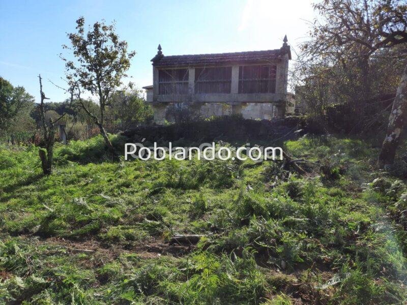 FANTÁSTICO CONJUNTO INMOBILIARIO; VIVIENDA, OTRAS DOS DEPENDENCIAS Y FINCA CON HÓRREO.