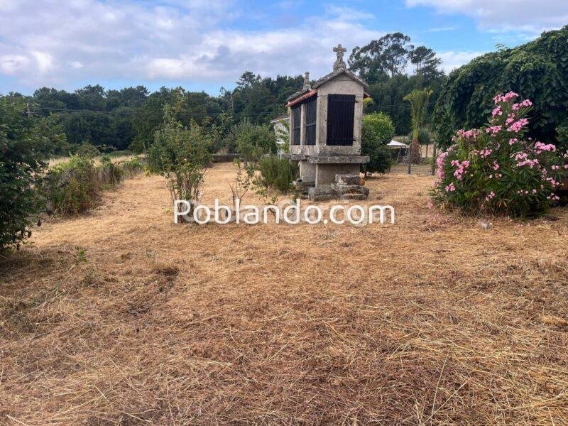FANTÁSTICA CASA DE PIEDRA Y PLANTA BAJA (107 m2), CON FINCA COLINDANTE DE 1.200 m2. COTELAS, PIÑOR, OURENSE (SPAIN).