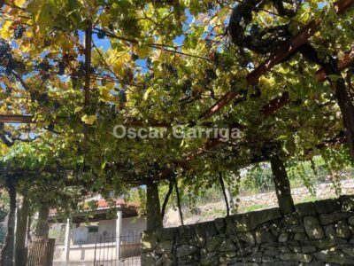 FANTÁSTICA CASA RURAL GALLEGA, CON DOS PLANTAS Y PATIO DELANTERO. QUINES, MELÓN, OURENSE (SPAIN).