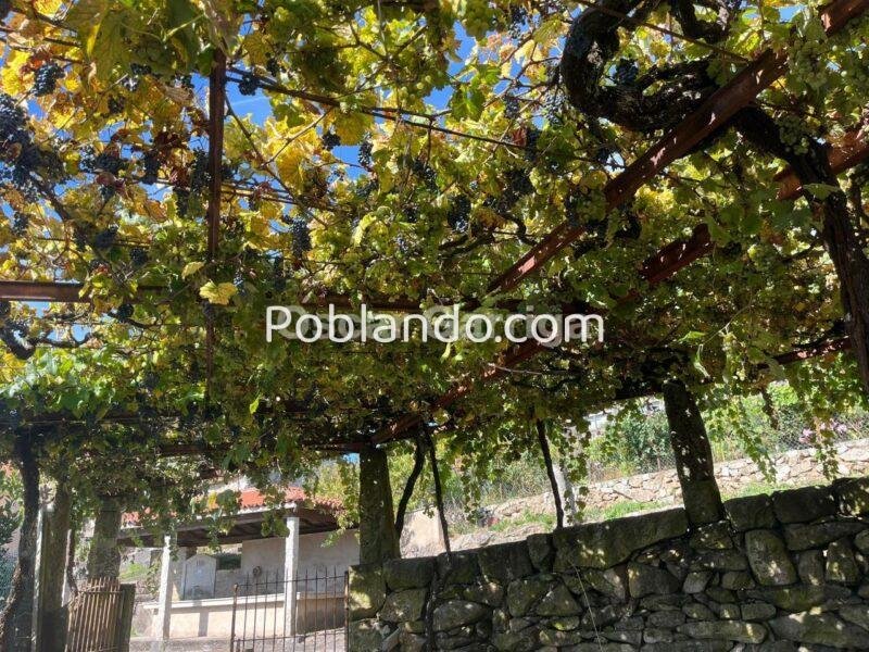 FANTÁSTICA CASA RURAL GALLEGA, CON DOS PLANTAS Y PATIO DELANTERO. QUINES, MELÓN, OURENSE (SPAIN).