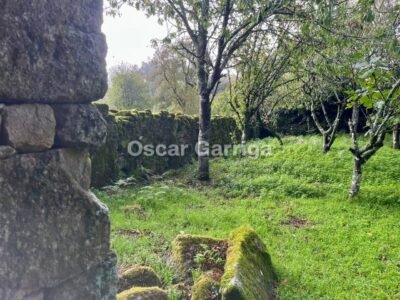 ENORME POTENCIAL DE ESTE INMUEBLE DEL RURAL QUE NECESITA REFORMA INTEGRAL EN SU INTERIOR Y TEJADO. CUENTA CON PATIO DELANTERO Y OTRAS DOS FINCAS COLINDANTES. A TORRE DE LOEDA, PIÑOR, OURENSE (SPAIN).