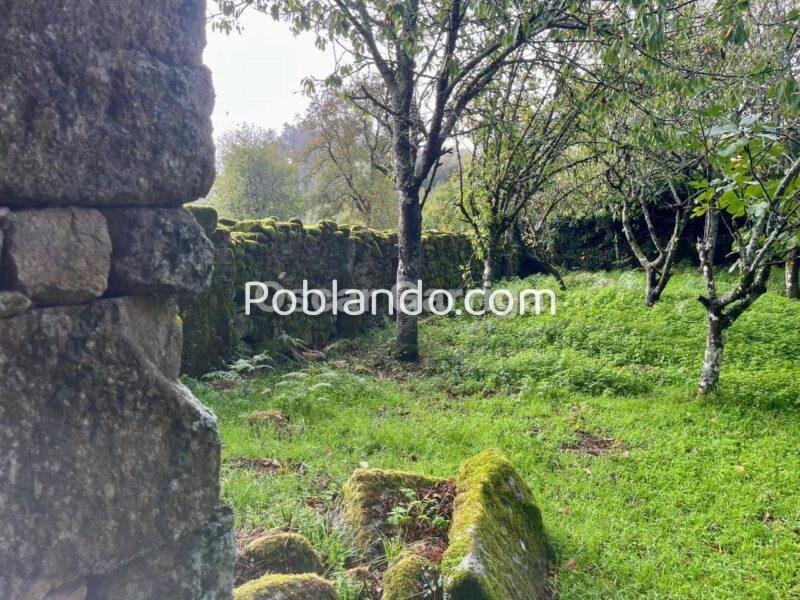 ENORME POTENCIAL DE ESTE INMUEBLE DEL RURAL QUE NECESITA REFORMA INTEGRAL EN SU INTERIOR Y TEJADO. CUENTA CON PATIO DELANTERO Y OTRAS DOS FINCAS COLINDANTES. A TORRE DE LOEDA, PIÑOR, OURENSE (SPAIN).