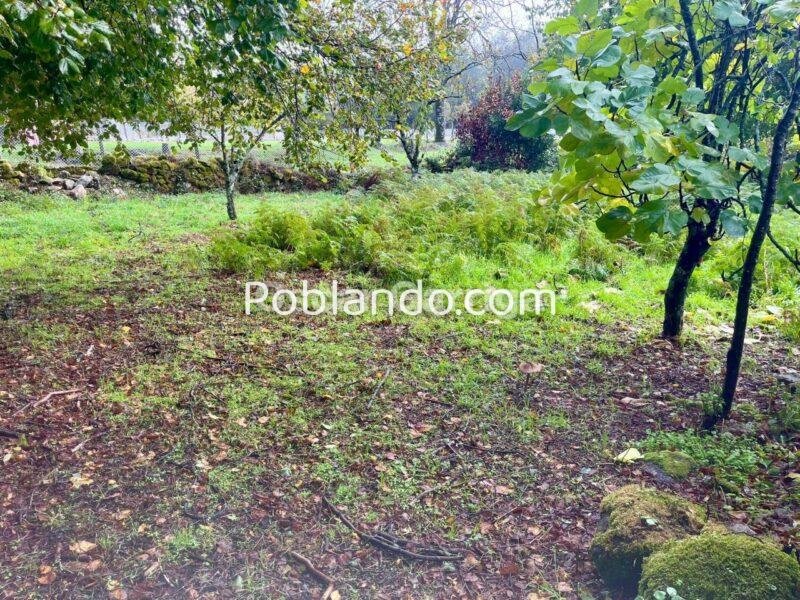 ENORME POTENCIAL DE ESTE INMUEBLE DEL RURAL QUE NECESITA REFORMA INTEGRAL EN SU INTERIOR Y TEJADO. CUENTA CON PATIO DELANTERO Y OTRAS DOS FINCAS COLINDANTES. A TORRE DE LOEDA, PIÑOR, OURENSE (SPAIN).