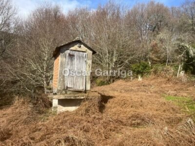 PRECIOSA CASA DEL RURAL PARA REFORMAR, CON FINCA, PATIO Y DOS HÓRREOS. GABIÁN, BOBORÁS (OURENSE).