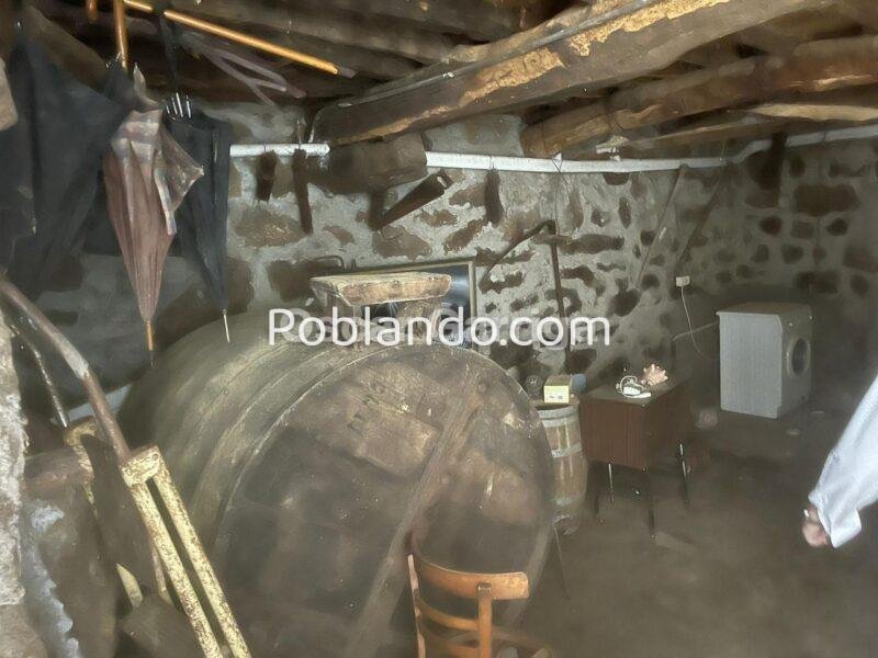 CASA DE PUEBLO CON INMUEBLES ANEXOS, UBICADA A 10 MINUTOS DE OURENSE CAPITAL. O PEREIRO DE AGUIAR (OURENSE).