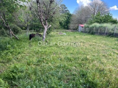 INMUEBLE COMPUESTO POR VIVIENDA, GALPONES Y FINCAS CONTIGUAS, A 4 KM DE O CARBALLIÑO. SAA, SEOANE, CARBALLIÑO (OURENSE).