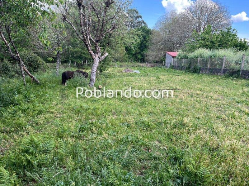 INMUEBLE COMPUESTO POR VIVIENDA, GALPONES Y FINCAS CONTIGUAS, A 4 KM DE O CARBALLIÑO. SAA, SEOANE, CARBALLIÑO (OURENSE).