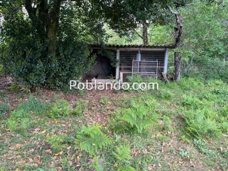 INMUEBLE COMPUESTO POR VIVIENDA, GALPONES Y FINCAS CONTIGUAS, A 4 KM DE O CARBALLIÑO. SAA, SEOANE, CARBALLIÑO (OURENSE).