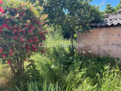 PRECIOSA CASA DEL RURAL GALLEGO, CON PEQUEÑA FINCA Y LISTA PARA ENTRAR A VIVIR. SANTIÁN (AL LADO DE O CARBALLIÑO) (OURENSE).