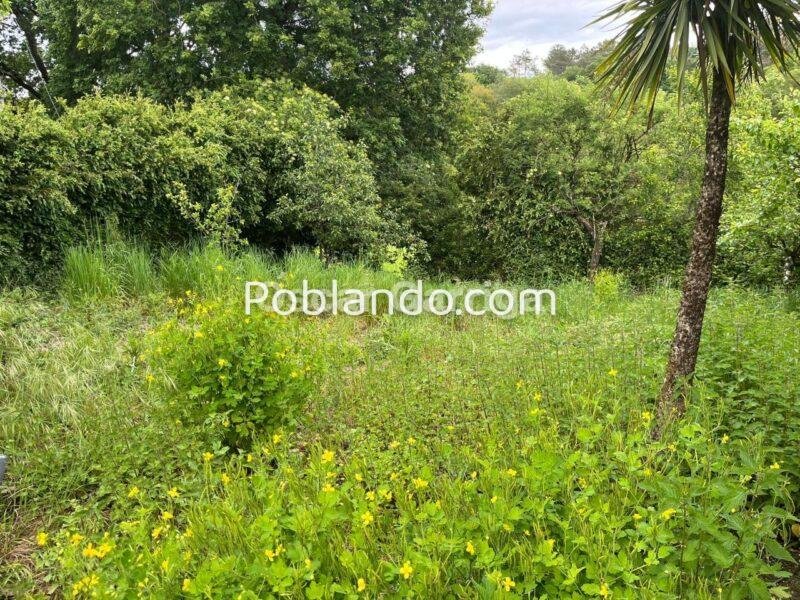 CASA DE PUEBLO GALLEGA, CON FINCA COLINDANTE, GARAJE, PLANTA BAJA Y DOS PLANTAS ALTAS. A TOLDA, CARBALLEDO (LUGO)