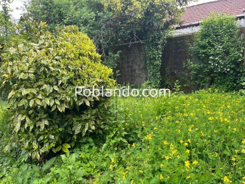 CASA DE PUEBLO GALLEGA, CON FINCA COLINDANTE, GARAJE, PLANTA BAJA Y DOS PLANTAS ALTAS. A TOLDA, CARBALLEDO (LUGO)