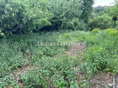 CASA DE PUEBLO GALLEGA, CON FINCA COLINDANTE, GARAJE, PLANTA BAJA Y DOS PLANTAS ALTAS. A TOLDA, CARBALLEDO (LUGO)