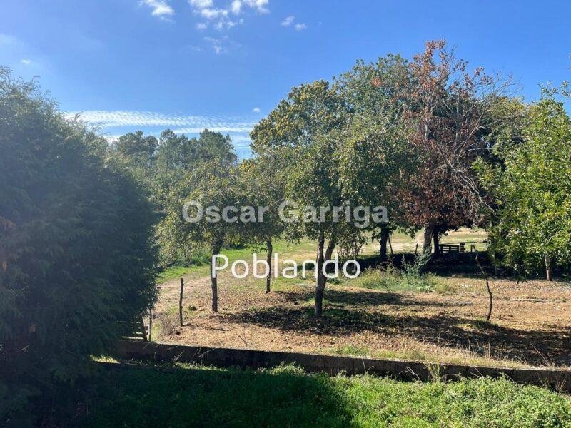 VIVIENDA INDEPENDIENTE TOTALMENTE AMUEBLADA DE 252 m2, CON FINCA DE 1350 m2 Y DOS DEPENDENCIAS AGRÍCOLAS DE 122m2 y 20 m2 RESPECTIVAMENTE. O BOLO, MASIDE, OURENSE, GALICIA (SPAIN)).