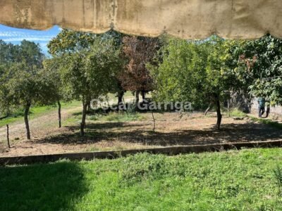 VIVIENDA INDEPENDIENTE TOTALMENTE AMUEBLADA DE 252 m2, CON FINCA DE 1350 m2 Y DOS DEPENDENCIAS AGRÍCOLAS DE 122m2 y 20 m2 RESPECTIVAMENTE. O BOLO, MASIDE, OURENSE, GALICIA (SPAIN)).