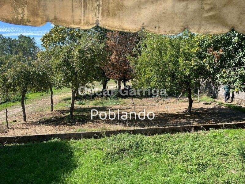 VIVIENDA INDEPENDIENTE TOTALMENTE AMUEBLADA DE 252 m2, CON FINCA DE 1350 m2 Y DOS DEPENDENCIAS AGRÍCOLAS DE 122m2 y 20 m2 RESPECTIVAMENTE. O BOLO, MASIDE, OURENSE, GALICIA (SPAIN)).