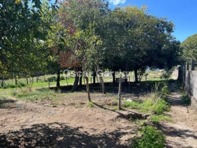 VIVIENDA INDEPENDIENTE TOTALMENTE AMUEBLADA DE 252 m2, CON FINCA DE 1350 m2 Y DOS DEPENDENCIAS AGRÍCOLAS DE 122m2 y 20 m2 RESPECTIVAMENTE. O BOLO, MASIDE, OURENSE, GALICIA (SPAIN)).