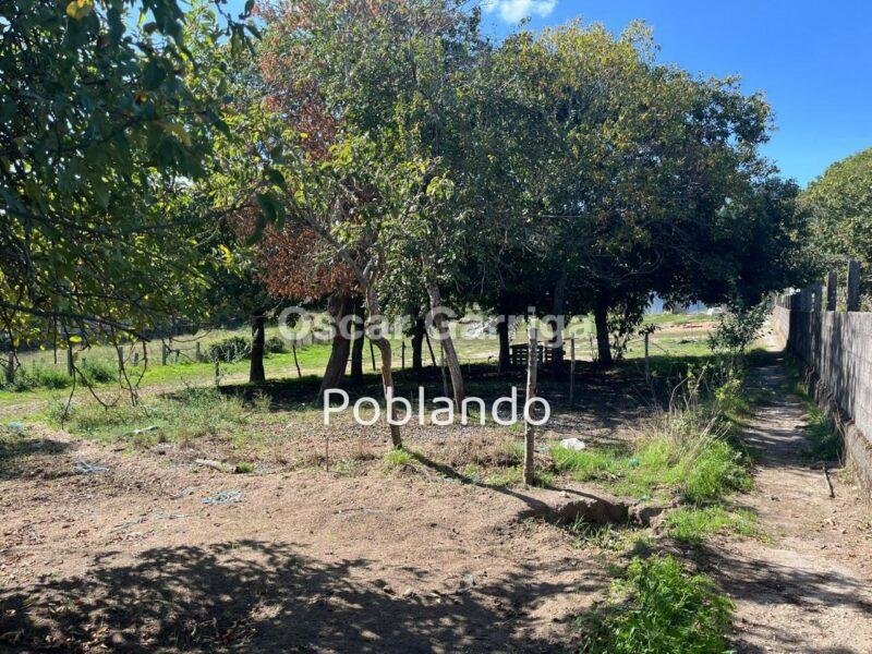 VIVIENDA INDEPENDIENTE TOTALMENTE AMUEBLADA DE 252 m2, CON FINCA DE 1350 m2 Y DOS DEPENDENCIAS AGRÍCOLAS DE 122m2 y 20 m2 RESPECTIVAMENTE. O BOLO, MASIDE, OURENSE, GALICIA (SPAIN)).