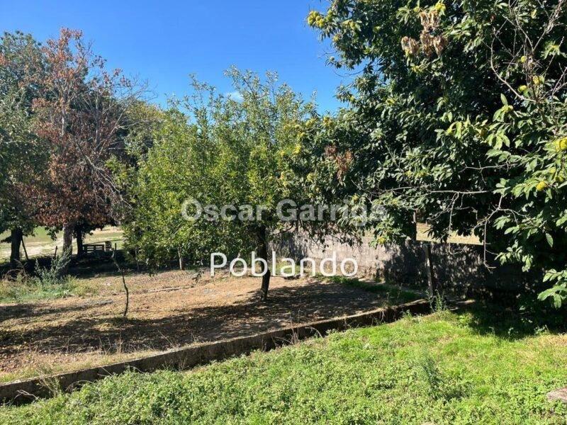VIVIENDA INDEPENDIENTE TOTALMENTE AMUEBLADA DE 252 m2, CON FINCA DE 1350 m2 Y DOS DEPENDENCIAS AGRÍCOLAS DE 122m2 y 20 m2 RESPECTIVAMENTE. O BOLO, MASIDE, OURENSE, GALICIA (SPAIN)).