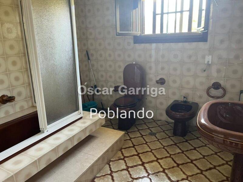 VIVIENDA INDEPENDIENTE TOTALMENTE AMUEBLADA DE 252 m2, CON FINCA DE 1350 m2 Y DOS DEPENDENCIAS AGRÍCOLAS DE 122m2 y 20 m2 RESPECTIVAMENTE. O BOLO, MASIDE, OURENSE, GALICIA (SPAIN)).