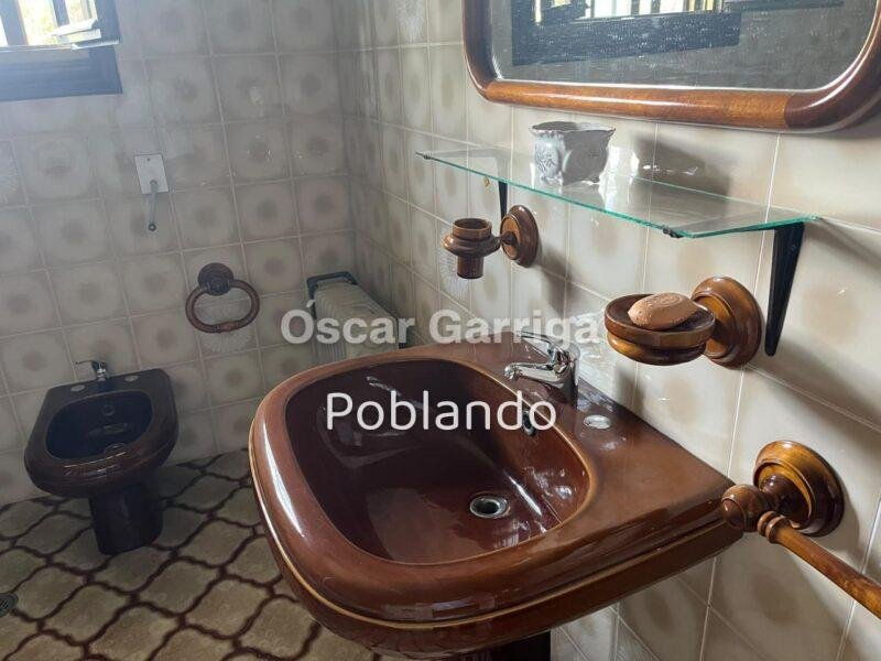 VIVIENDA INDEPENDIENTE TOTALMENTE AMUEBLADA DE 252 m2, CON FINCA DE 1350 m2 Y DOS DEPENDENCIAS AGRÍCOLAS DE 122m2 y 20 m2 RESPECTIVAMENTE. O BOLO, MASIDE, OURENSE, GALICIA (SPAIN)).